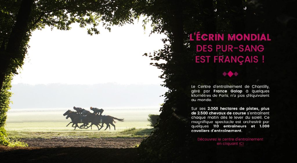 Présentation PowerPoint France Galop – Mise en page graphique avec images et texte pour le Qatar Prix de l’Arc de Triomphe