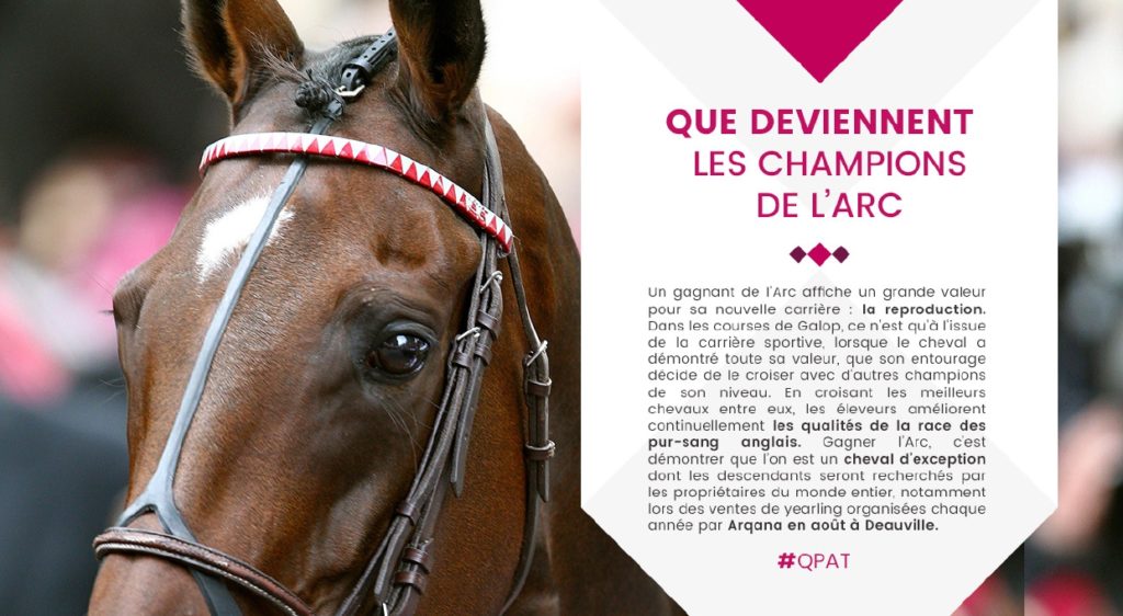 Présentation PowerPoint France Galop – Mise en page graphique avec images et texte pour le Qatar Prix de l’Arc de Triomphe