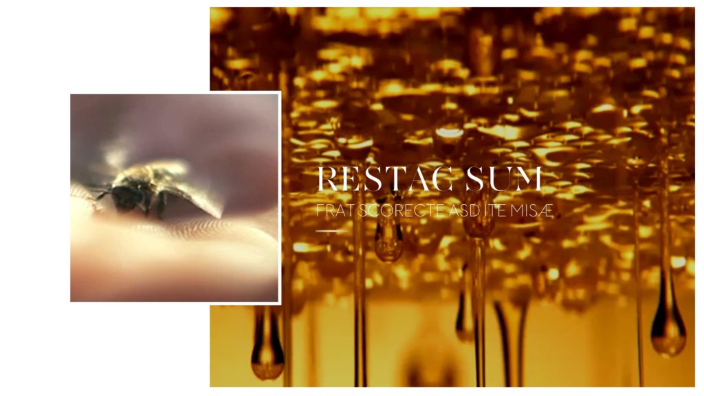 Design élégant de présentation pour Guerlain Abeille Royale
