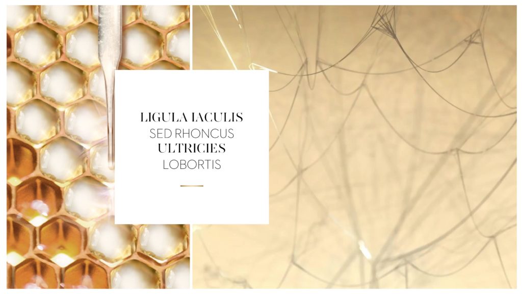 Support visuel événementiel PowerPoint – Guerlain