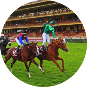 Trophee Visuel officiel du Qatar Prix de l’Arc de Triomphe – Dossier de presse France Galop