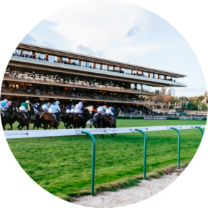 Visuel officiel du Qatar Prix de l’Arc de Triomphe – Dossier de presse France Galop